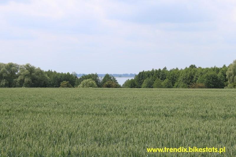 Widok na Miedwie z drogi szutrowej Koszewo-Wierzbno