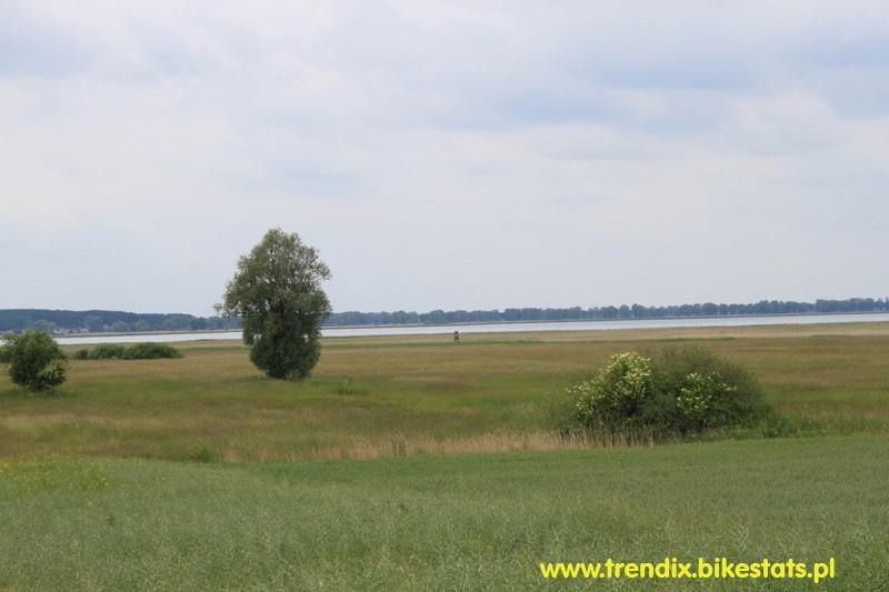 Południowy koniec jeziora Miedwie
