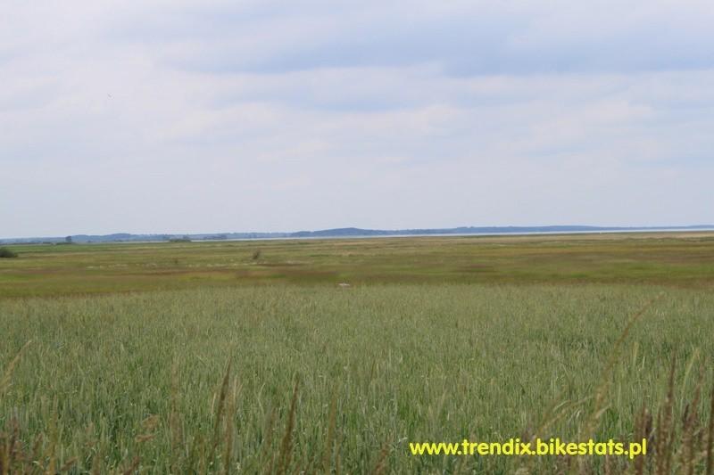 Widok na Miedwie z zachodniej strony jeziora