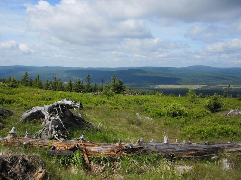 Piękny widok- Izery