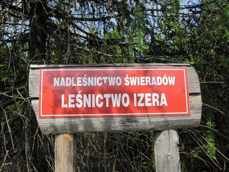 Leśnictwo Izera