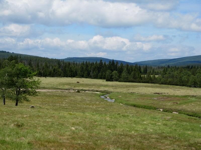 Widok na łąki w pobliżu Chatki Górzystów