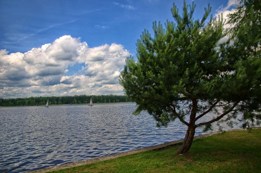 Jezioro paprocany