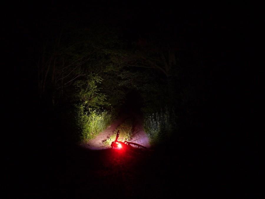 Kampinoskie szlaki nocą