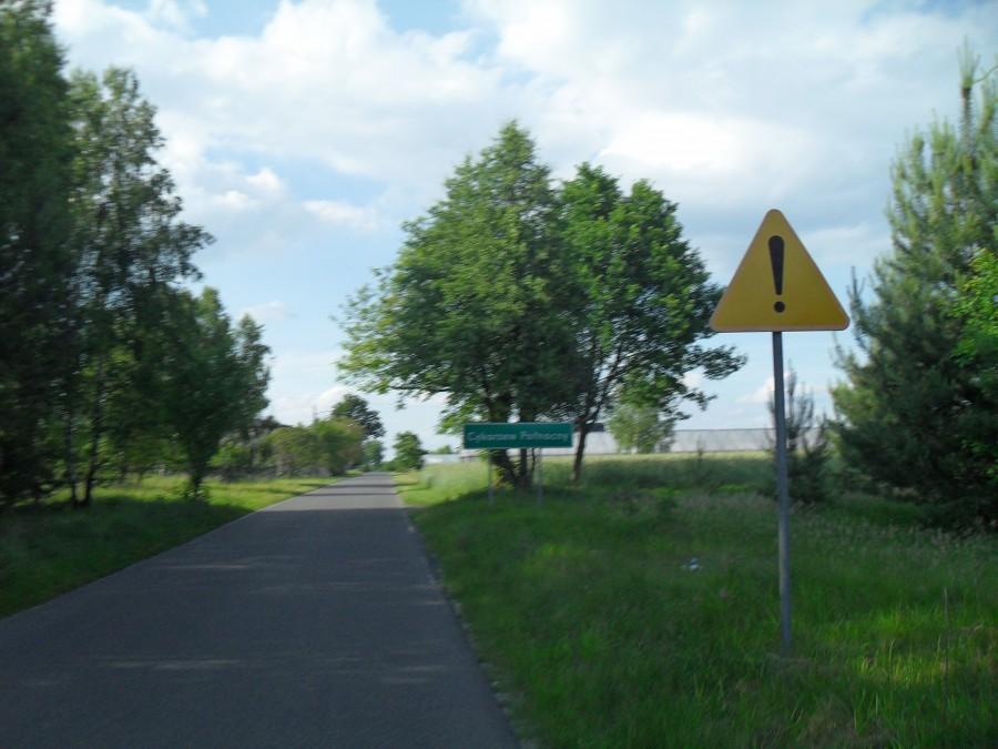 cykarzew północny