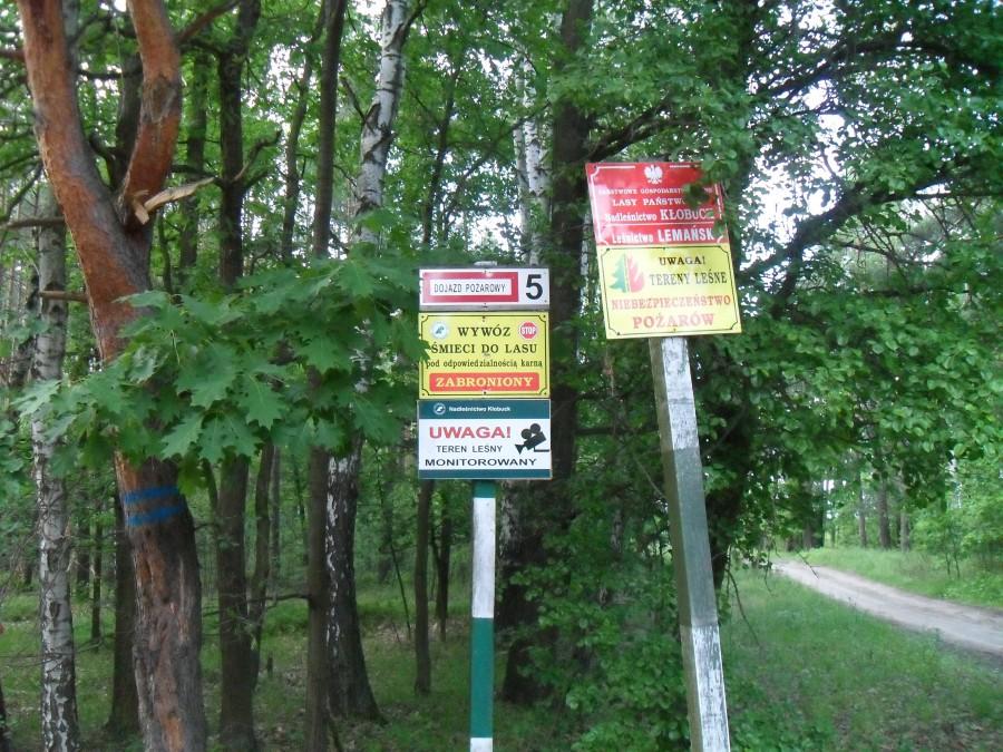 uwaga droga nr 5