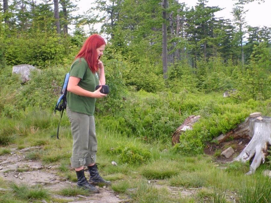 Przystanek na sesję foto