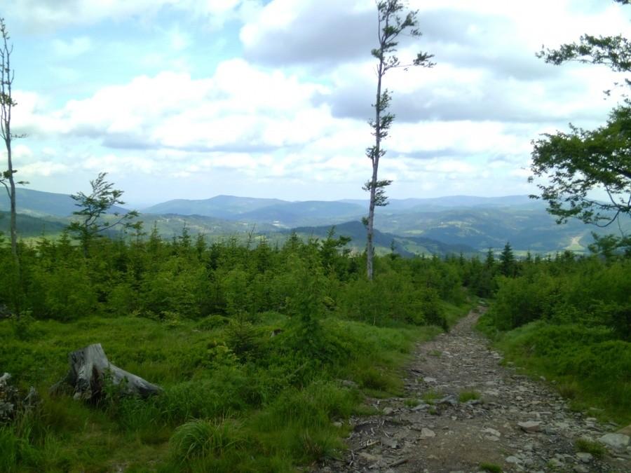Widok na góry