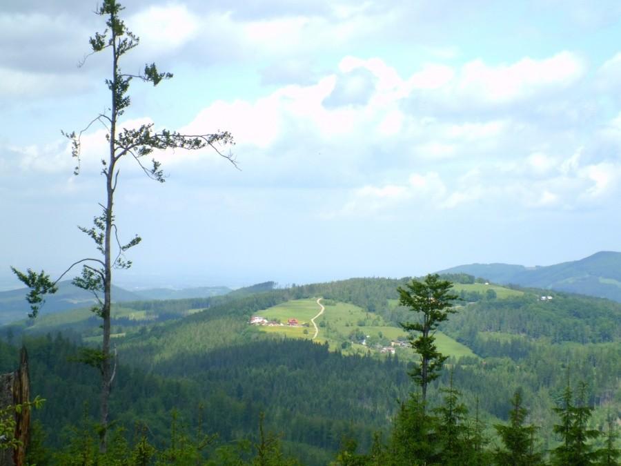 Widok na góry