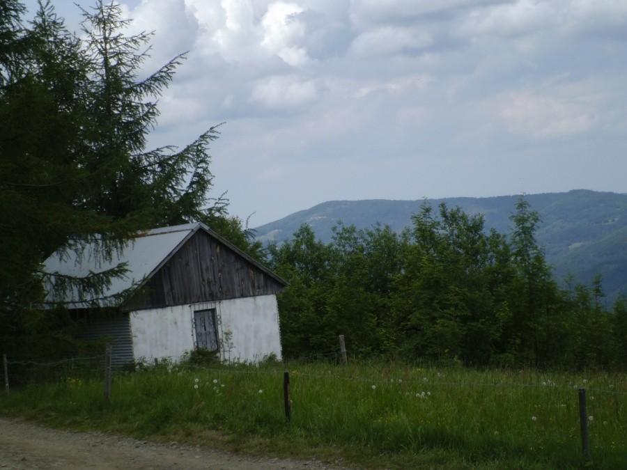Widok ze szlaku