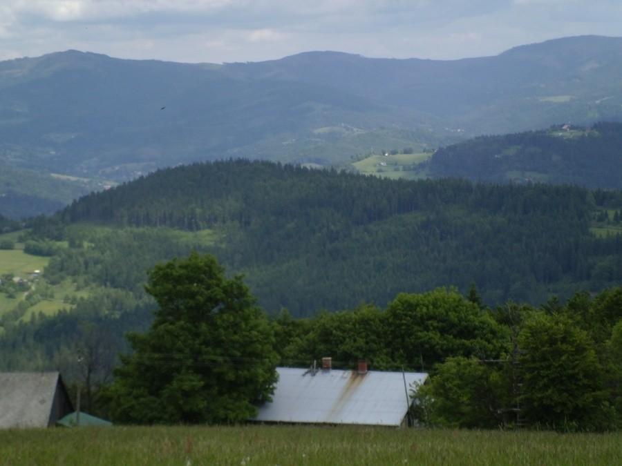 Widok ze szlaku