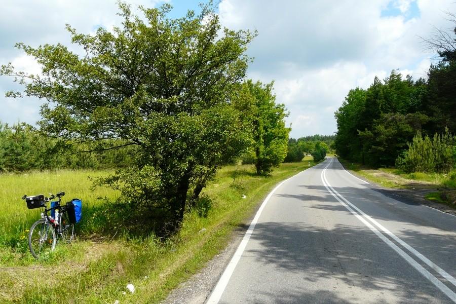 Trasa 791