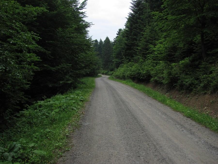 przyjemny podjazd na Mały Beskid