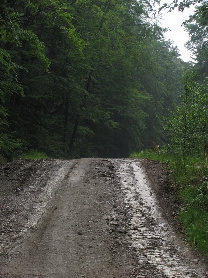 droga w stronę Bartnego