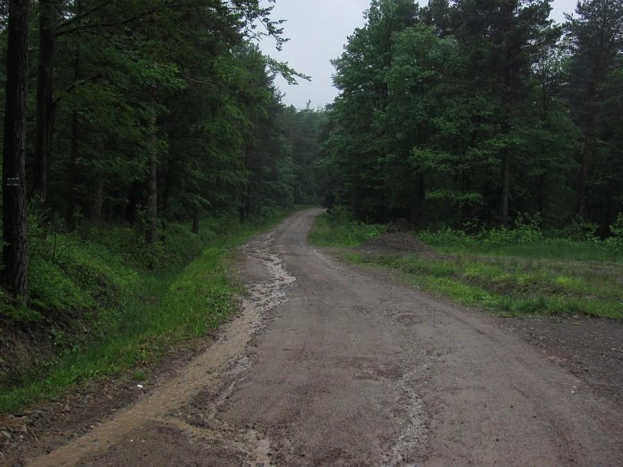 rzut oka na wodnisty podjazd
