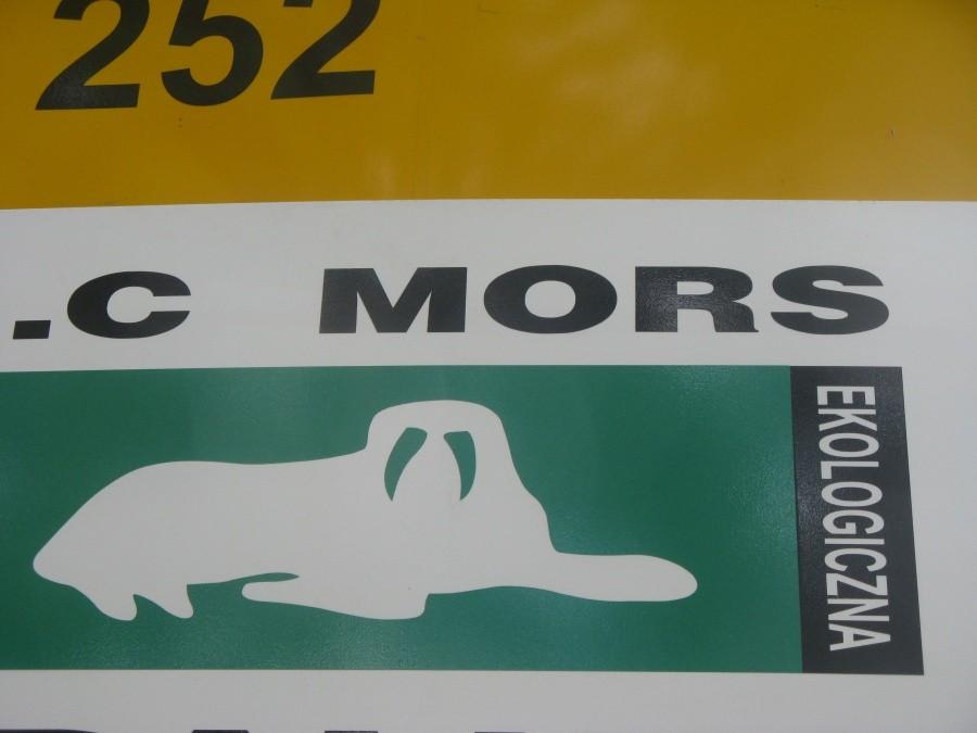 Special 4 MORS :-)