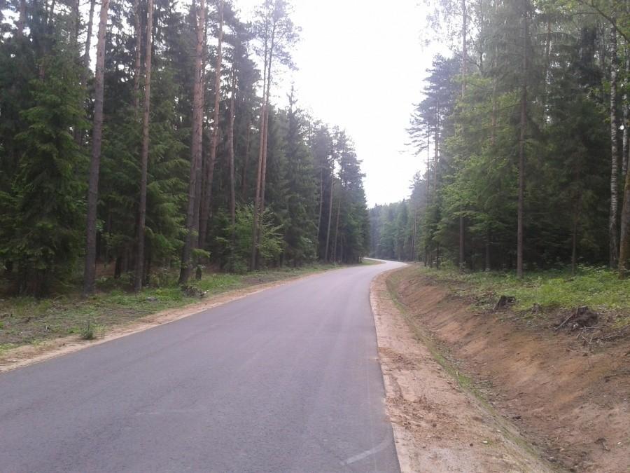 leśna autostrada - taką drogę zafundowało sobie nadleśnictwo Mrozy