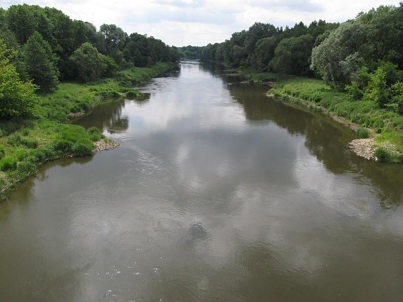 Rzeka Warta w Biedrusku