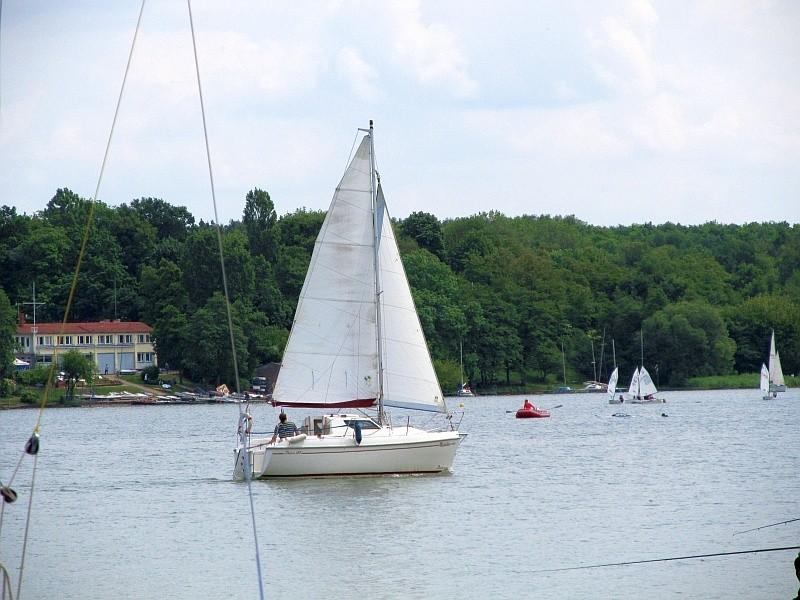 żaglówka na wodzie