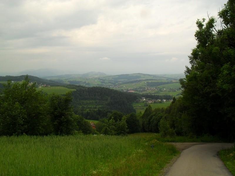 Widoczki