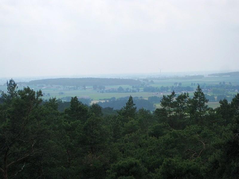 widok z wieży