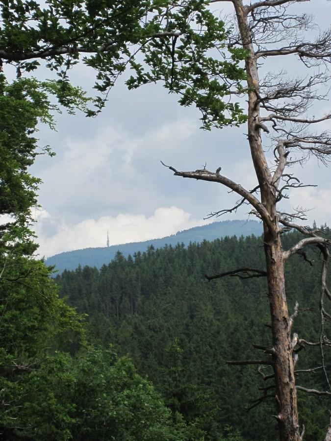 Widok na przekażnik na Czarnej Górze
