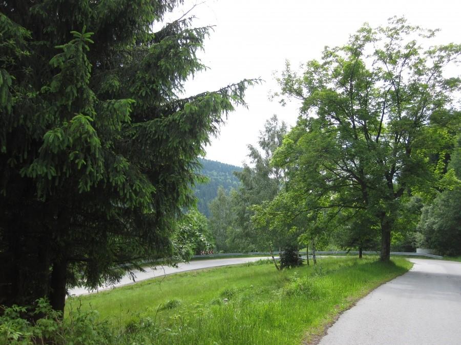 Ile jeszcze zakrętów do Siennej ?