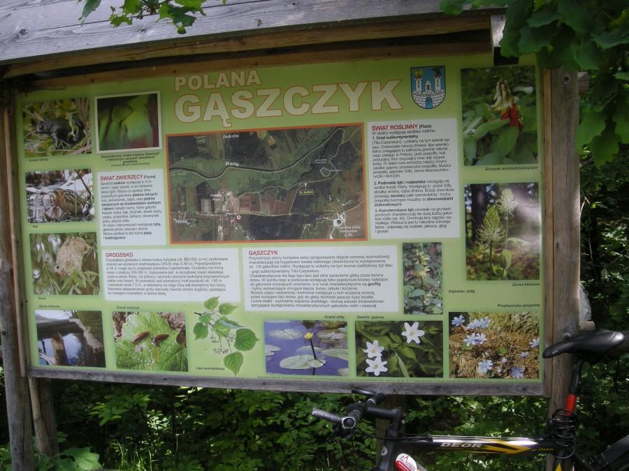 Uroczysko Gąszczyk pod Częstochową.