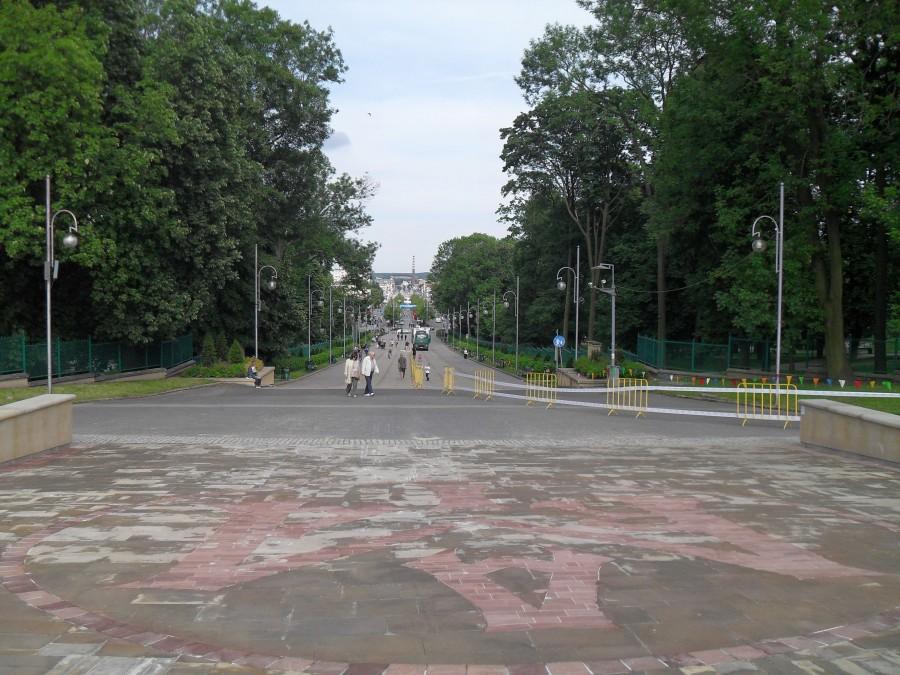 widok na aleje