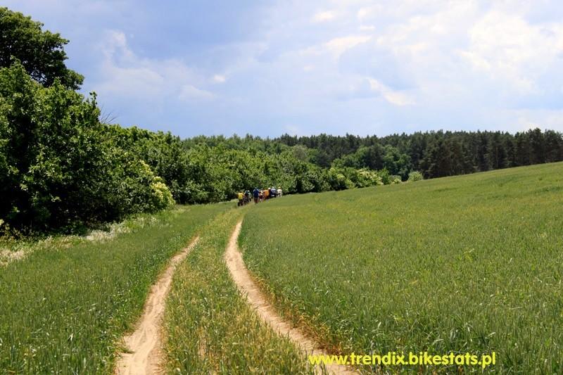 Gdy skończyły się leśne drogi, ruszyliśmy przez pola