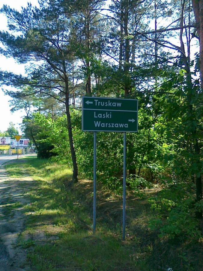 Jednak wybrałam Truskaw