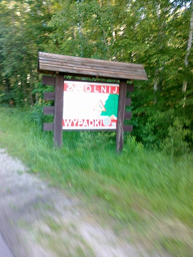 Uwaga łosie