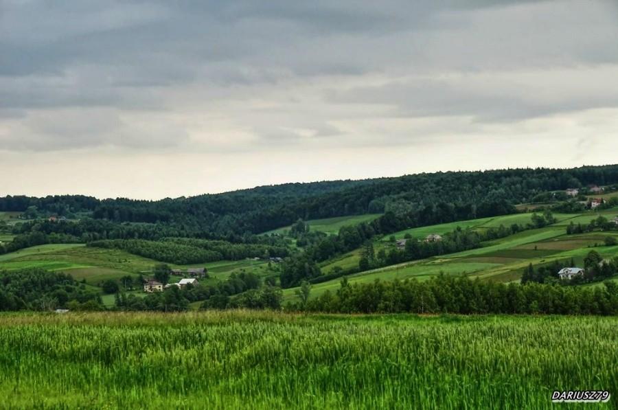 Pasmno brzanki - Pogórze ciężkowickie