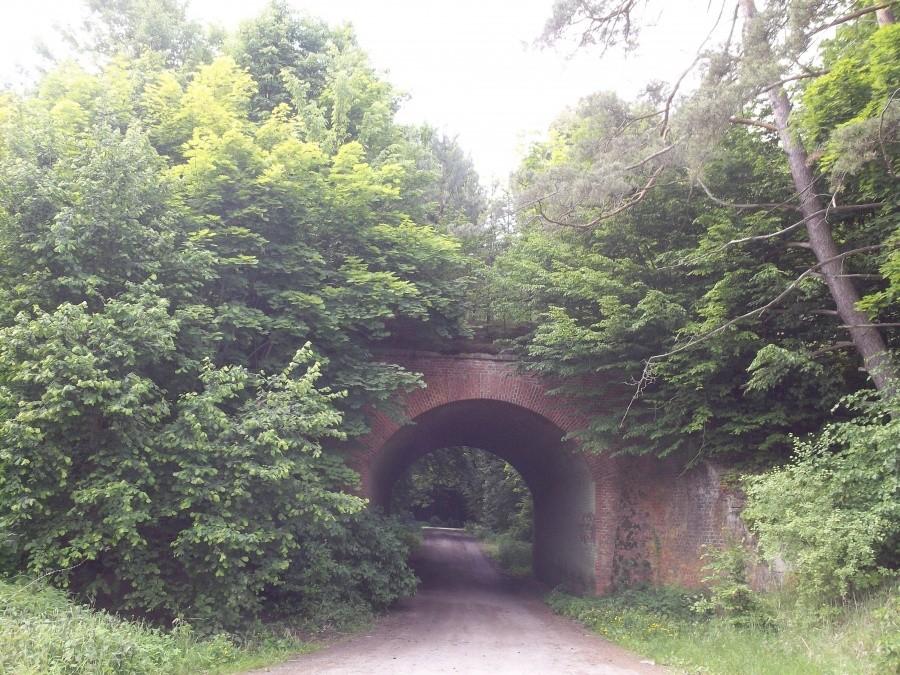 Nieczynny wiadukt kolejowy w Opaleniu