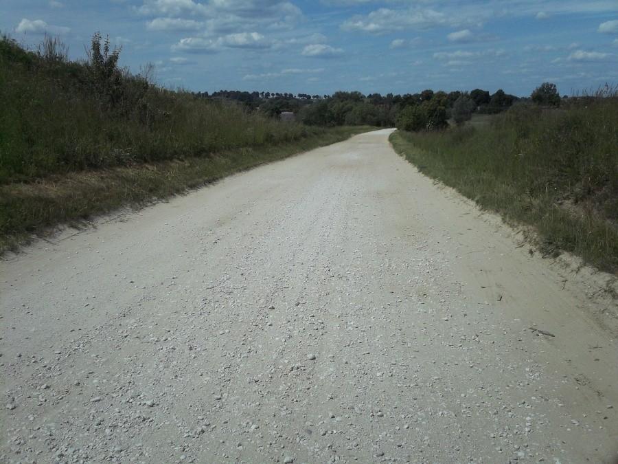 Droga Dąbrówka - Kolonia Ostrowicka