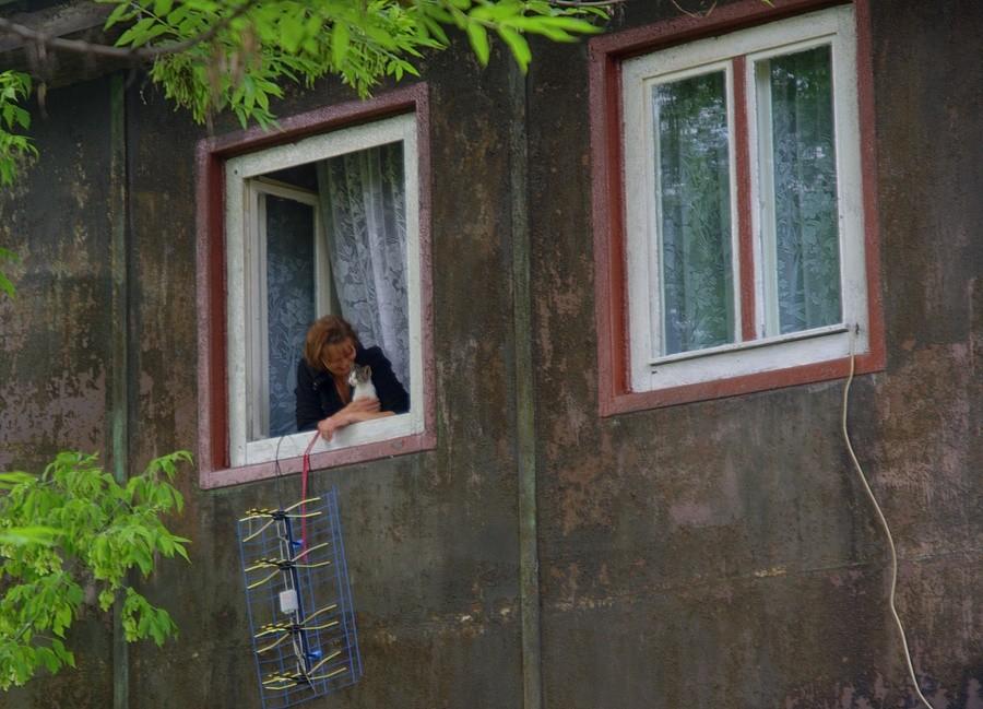Mieszkańcy stalowego domu