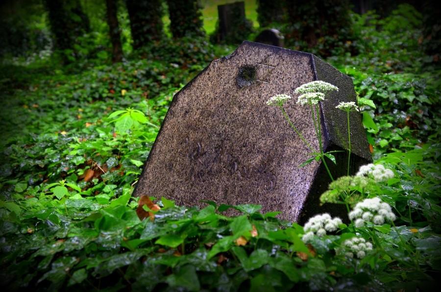 Płyty nagrobne 4