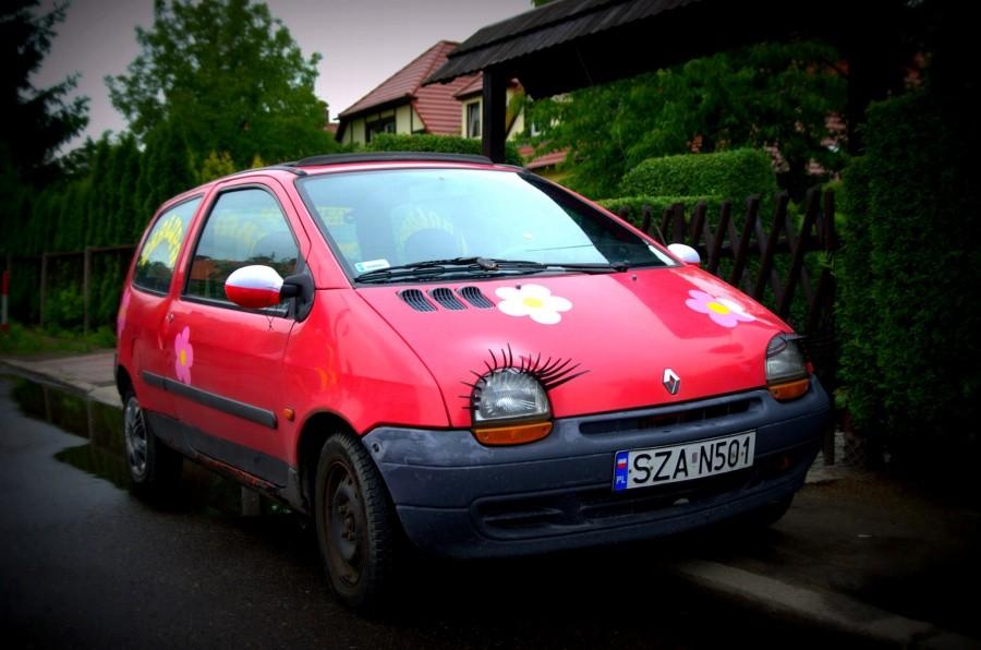 Zalotna taka