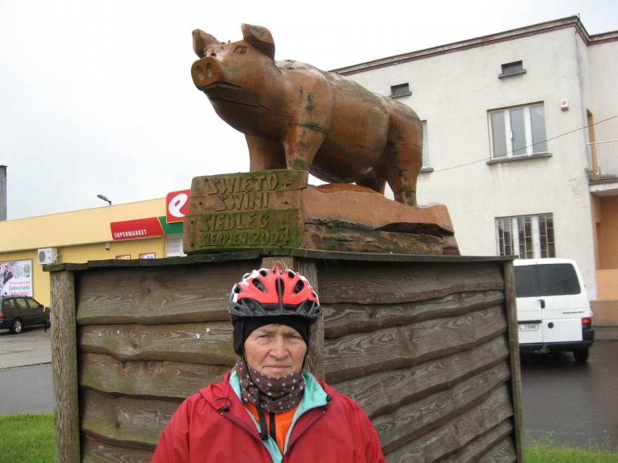 Pomnik świni w miejscowości Siedlec