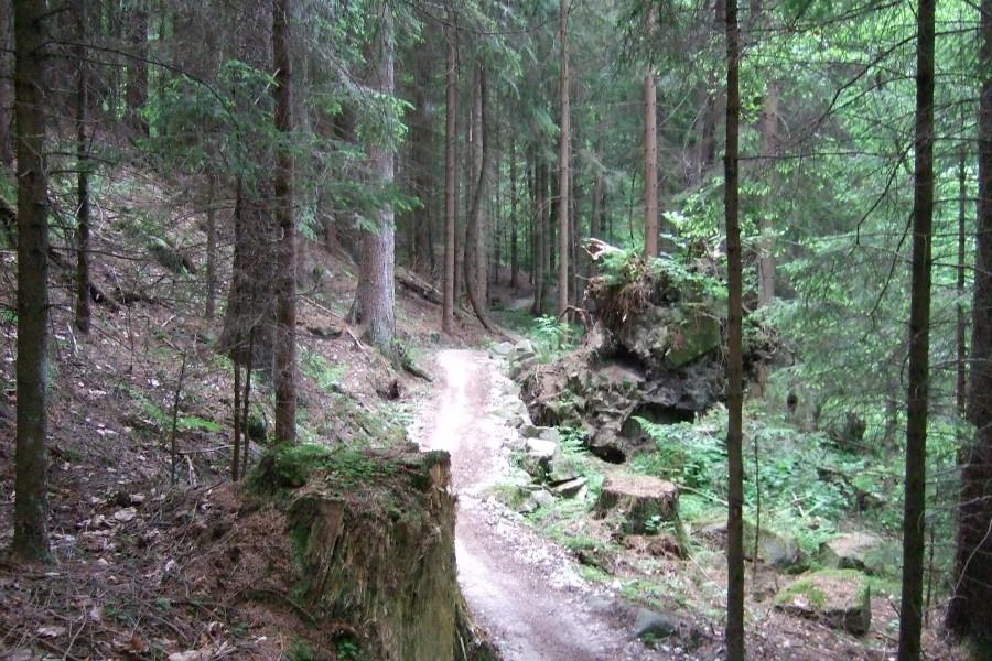 Ten odcinek był świetny dość wymagający to co lubią najbardziej niedźwiadki ;)).
