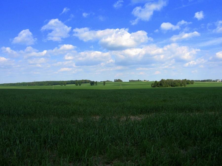 Widok na PKWŁ tuż za Kołacinem