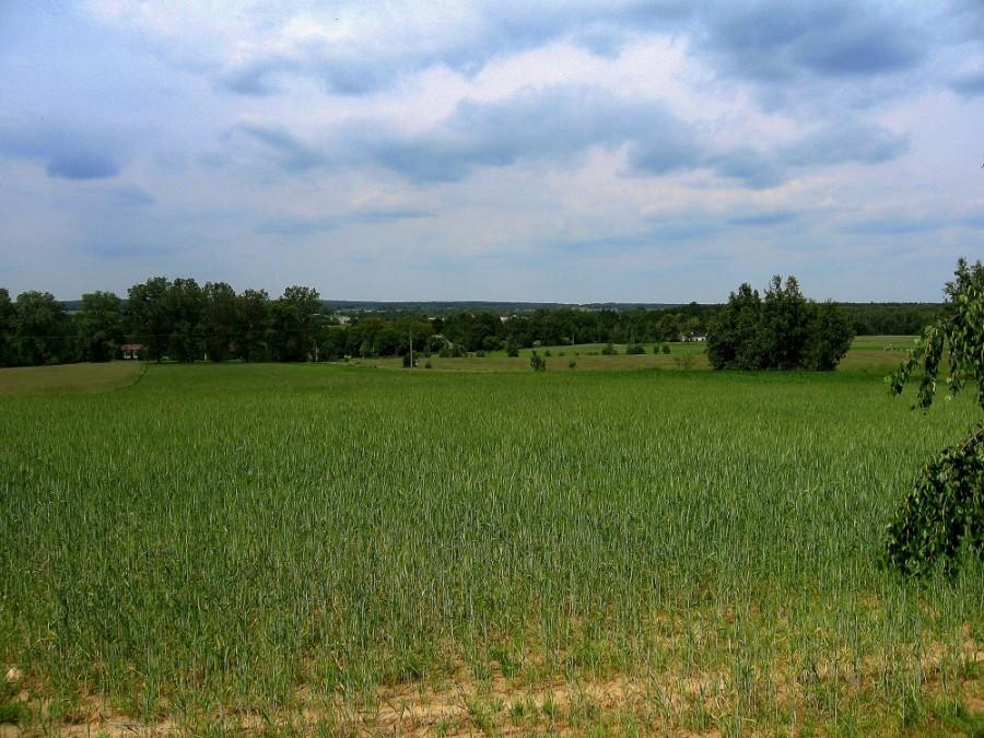 Widok z punktu widokowego na PKWŁ