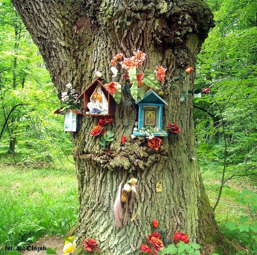 Kapliczki w puszczy (1)