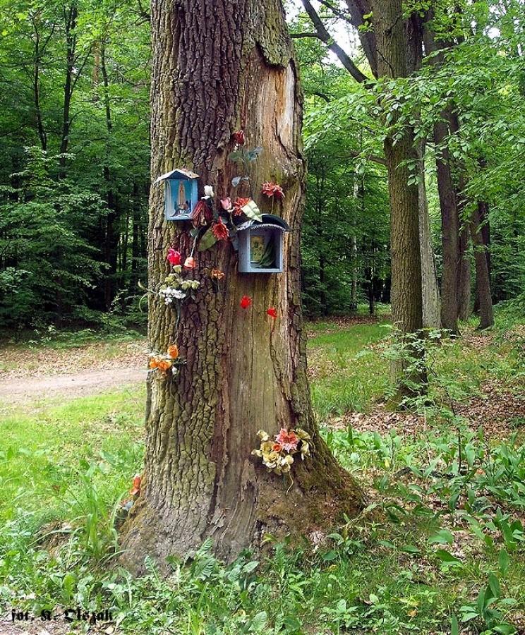 Kapliczki w puszczy (2)