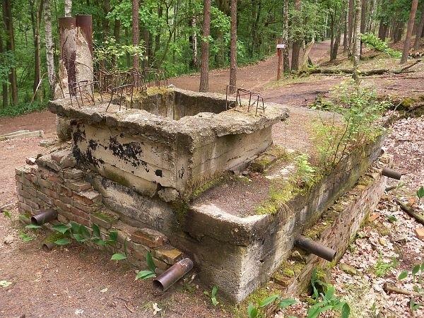 Ruiny koło Ćwikowej Góry