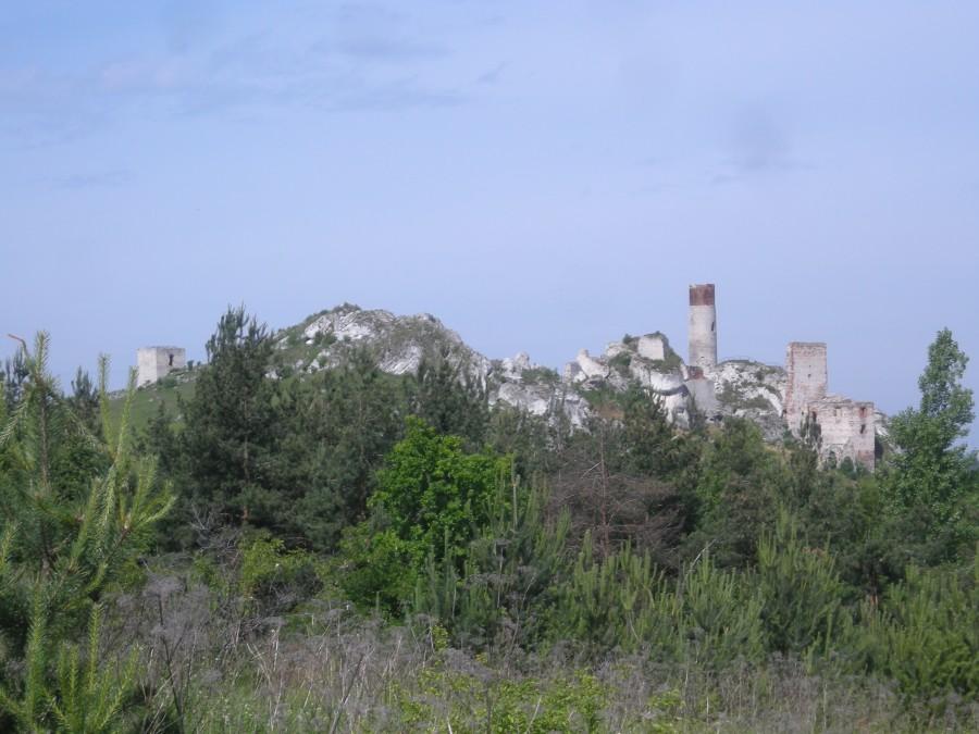 Zamek w Olsztynie
