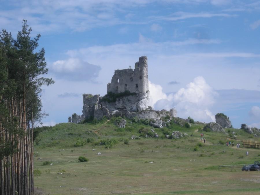 Zamek w Mirowie