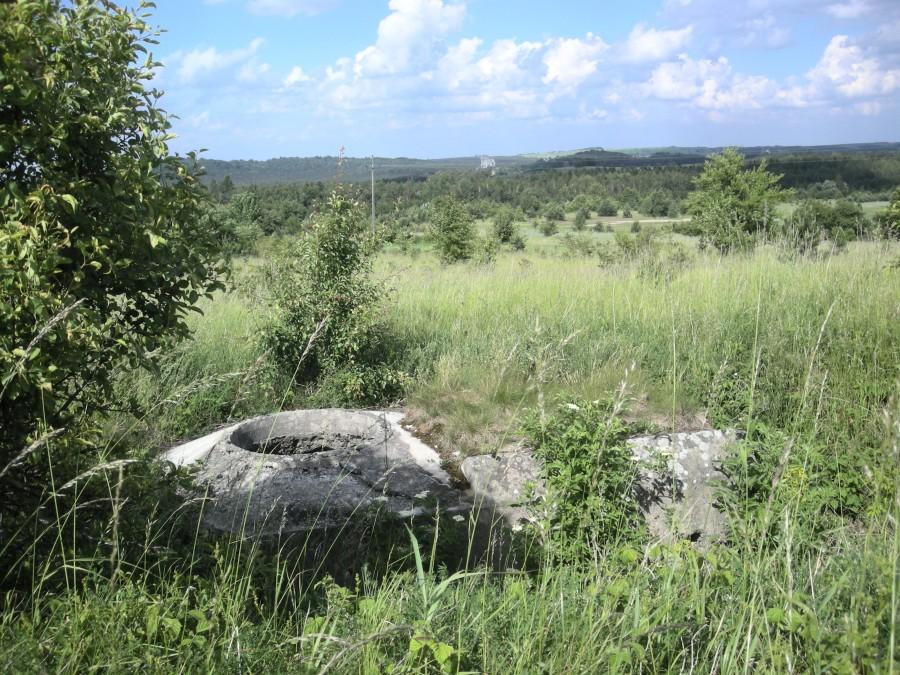 Bunkier Ringstand 58c w Kotowicach- na horyzoncie zamek Mirów.