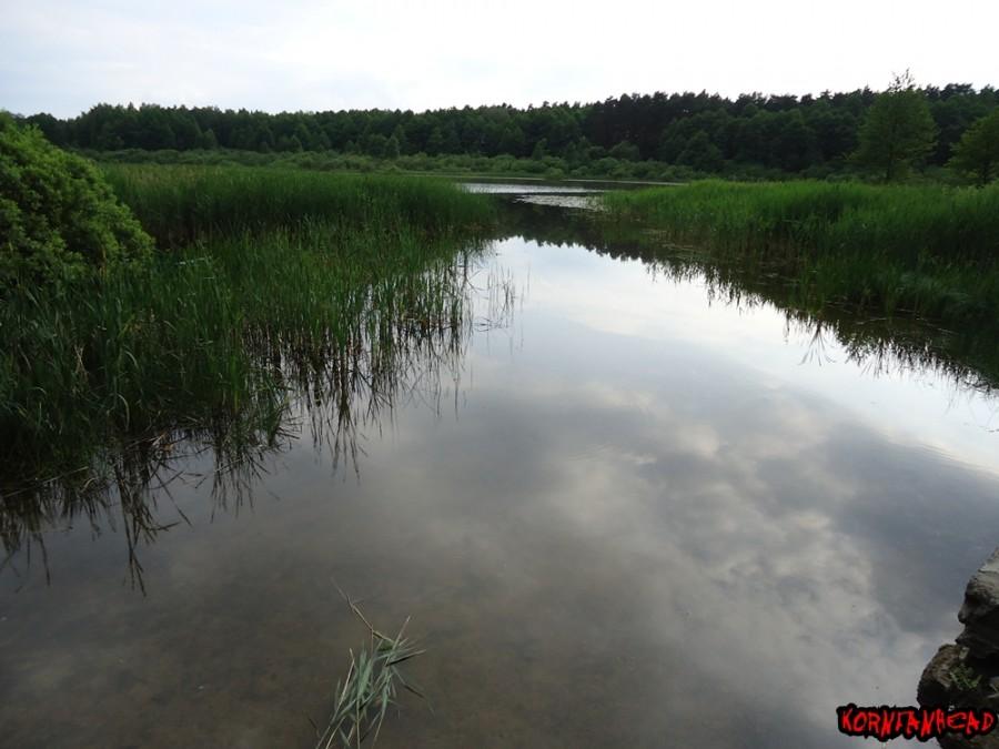 Jezioro Rybnica. Dziś nie było tam dziwnie patrzących na człowieka a aparatem turystów. Można więc było na spokojnie porobić zdjęcia.