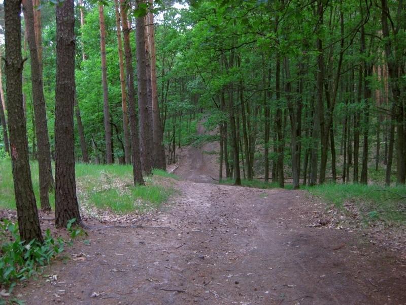 jeden wielu miłych dla koła zjazdów